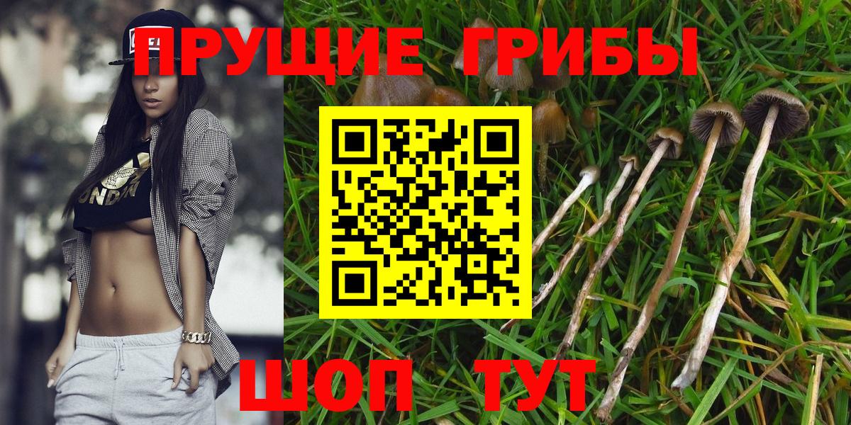 Галлюциногенные грибы мицелий  Галлюциногенные грибы прущие грибы  Вход с VPN  Коряжма 