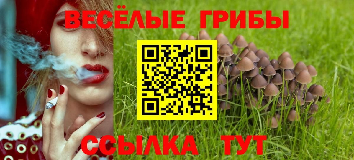 Псилоцибиновые грибы мицелий Коряжма